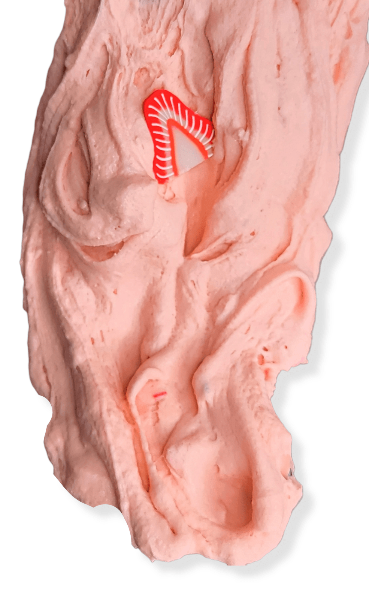 Strawberry Pound Cake DIY Handmade Slime Kit Slime by Hoshimi Slimes LLC | Hoshimi Slimes LLC