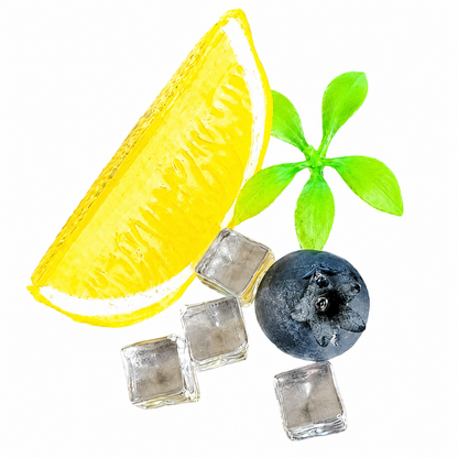 Blueberry Lemonade Slime – Clear Glossy Slime with Fruit Charms
