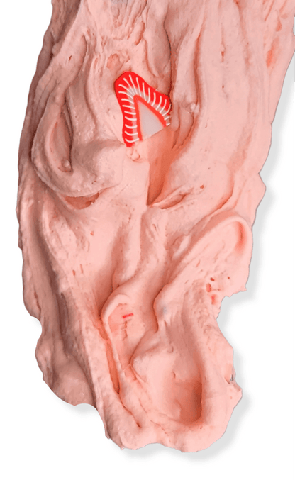 Strawberry Pound Cake DIY Handmade Slime Kit Slime by Hoshimi Slimes LLC | Hoshimi Slimes LLC